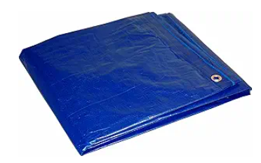 Tarp